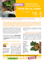 Piégeage de printemps – frelon asiatique